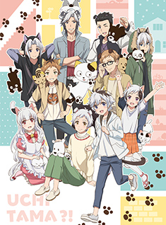 うちタマ?! うちのタマ知りませんか？